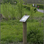 GPS:  Altitude:  -  -  -   -  -   -  -