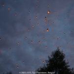 GPS: 50°51'17.478" N 2°37'24.5172" E Altitude: 24,6 m -  -  -   -  -   -  -