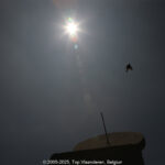 GPS: 39°54'20.6892" N 116°25'41.8008" E Altitude: 47,3 m -  -  -   -  -   -  -