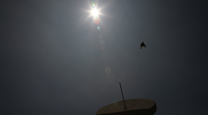 GPS: 39°54'20.6892" N 116°25'41.8008" E Altitude: 47,3 m -  -  -   -  -   -  -