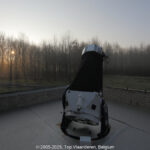 GPS:  Altitude:  -  -  -   -  -   -  -