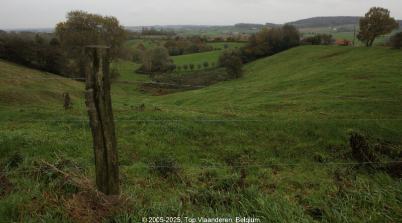 GPS: 50°47'34.0692" N 2°46'57" E Altitude: 115,6 m -  -  -   -  -   -  -