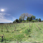 GPS: 50°46'17.5404" N 2°48'11.2248" E Altitude: 91,2 m -  -  -   -  -   -  -