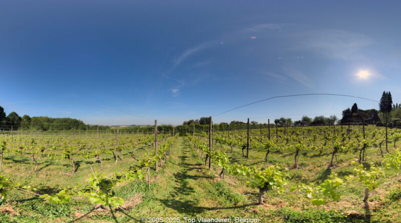 GPS: 50°47'15.6552" N 2°44'34.7064" E Altitude: 87,9 m -  -  -   -  -   -  -