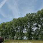 GPS:  Altitude:  -  -  -   -  -   -  -