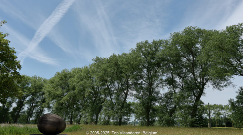 GPS:  Altitude:  -  -  -   -  -   -  -