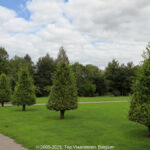 GPS: 50°20'52.3788" N 1°49'12.2808" E Altitude: 9,9 m -  -  -   -  -   -  -
