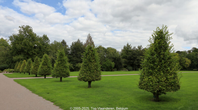 GPS: 50°20'52.3788" N 1°49'12.2808" E Altitude: 9,9 m -  -  -   -  -   -  -