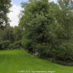 GPS: 50°20'48.2712" N 1°49'13.2132" E Altitude: 13,2 m -  -  -   -  -   -  -