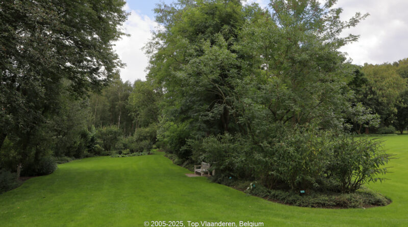 GPS: 50°20'48.2712" N 1°49'13.2132" E Altitude: 13,2 m -  -  -   -  -   -  -