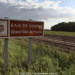 GPS: 50°18'14.688" N 1°45'5.058" E Altitude: 45,6 m -  -  -   -  -   -  -