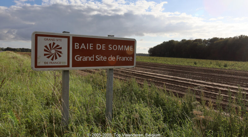 GPS: 50°18'14.688" N 1°45'5.058" E Altitude: 45,6 m -  -  -   -  -   -  -