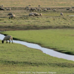 GPS: 50°12'31.464" N 1°40'42.2292" E Altitude: 13,6 m -  -  -   -  -   -  -
