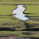 GPS: 50°12'34.578" N 1°40'34.1508" E Altitude: 11,4 m -  -  -   -  -   -  -