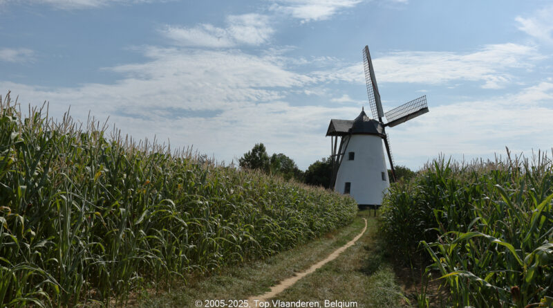 GPS:  Altitude:  -  -  -   -  -   -  -
