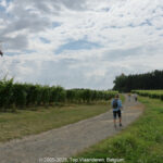 GPS:  Altitude:  -  -  -   -  -   -  -
