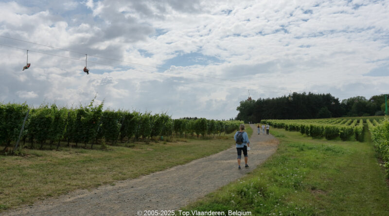 GPS:  Altitude:  -  -  -   -  -   -  -