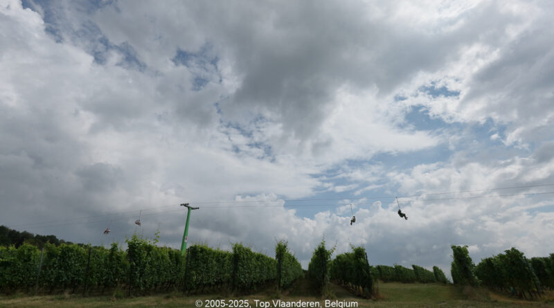 GPS:  Altitude:  -  -  -   -  -   -  -