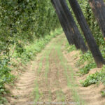 GPS:  Altitude:  -  -  -   -  -   -  -
