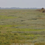 GPS: 50°12'59.2668" N 1°39'10.4652" E Altitude: -12,9 m -  -  -   -  -   -  -