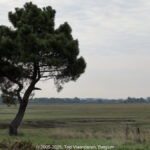 GPS: 50°12'35.5068" N 1°40'34.4928" E Altitude: 4,3 m -  -  -   -  -   -  -