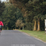 GPS: 50°11'43.1052" N 1°33'14.4648" E Altitude: 11,9 m -  -  -   -  -   -  -