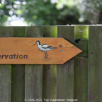 GPS: 50°11'49.9812" N 1°33'5.796" E Altitude: 30,2 m -  -  -   -  -   -  -