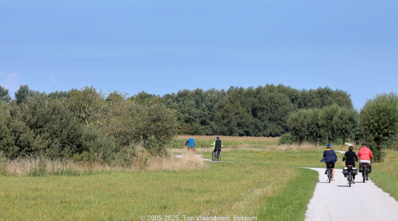 GPS: 50°11'50.28" N 1°33'4.716" E Altitude: 15,2 m -  -  -   -  -   -  -