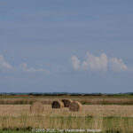 GPS: 50°11'39.3972" N 1°33'31.59" E Altitude: 23,1 m -  -  -   -  -   -  -