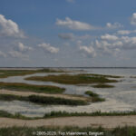 GPS: 50°12'54.7308" N 1°33'58.878" E Altitude: 14,7 m -  -  -   -  -   -  -