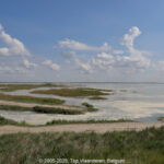 GPS: 50°12'54.7308" N 1°33'58.878" E Altitude: 14,7 m -  -  -   -  -   -  -