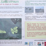 GPS: 50°12'55.278" N 1°33'59.382" E Altitude: 4,3 m -  -  -   -  -   -  -