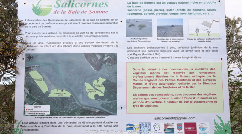 GPS: 50°12'55.278" N 1°33'59.382" E Altitude: 4,3 m -  -  -   -  -   -  -