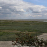 GPS: 50°12'58.0068" N 1°33'58.302" E Altitude: 0,1 m -  -  -   -  -   -  -