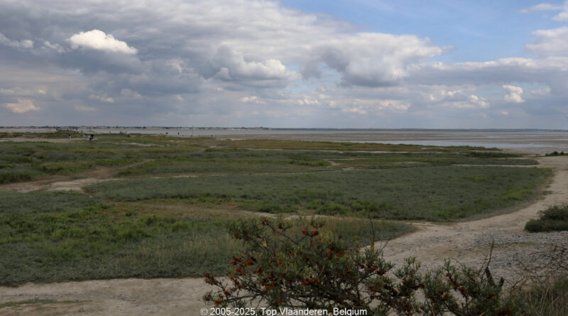 GPS: 50°12'58.0068" N 1°33'58.302" E Altitude: 0,1 m -  -  -   -  -   -  -