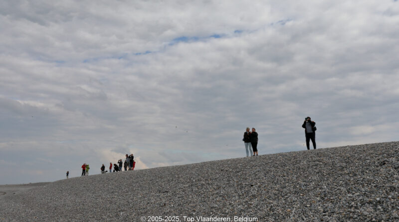 GPS: 50°13'1.83" N 1°33'50.364" E Altitude: -2,7 m -  -  -   -  -   -  -
