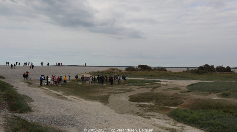 GPS: 50°12'57.87" N 1°33'56.1852" E Altitude: 13,5 m -  -  -   -  -   -  -