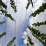 GPS: 50°49'58.3752" N 2°42'9.144" E Altitude: 19,5 m -  -  -   -  -   -  -