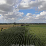 GPS: 50°50'31.9632" N 2°38'16.2348" E Altitude: 34,6 m -  -  -   -  -   -  -