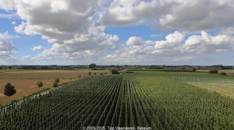 GPS: 50°50'31.9632" N 2°38'16.2348" E Altitude: 34,6 m -  -  -   -  -   -  -
