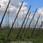 GPS: 50°50'16.746" N 2°42'4.3812" E Altitude: 3,4 m -  -  -   -  -   -  -