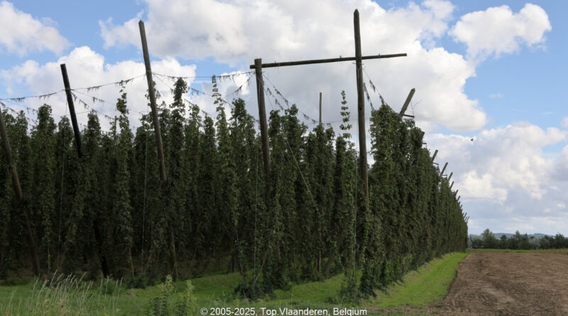 GPS: 50°50'16.746" N 2°42'4.3812" E Altitude: 3,4 m -  -  -   -  -   -  -