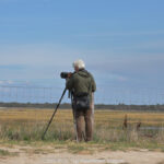 GPS: 51°21'25.4808" N 3°21'16.02" E Altitude: 1,7 m -  -  -   -  -   -  -