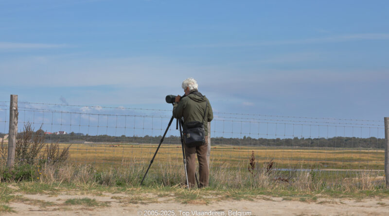 GPS: 51°21'25.4808" N 3°21'16.02" E Altitude: 1,7 m -  -  -   -  -   -  -