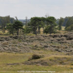 GPS: 51°21'45.63" N 3°20'21.12" E Altitude: -30,2 m -  -  -   -  -   -  -