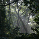 GPS: 50°46'41.574" N 2°48'47.5668" E Altitude: 144,7 m - België -  -  Heuvelland -  -   -  -