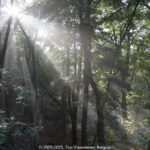 GPS: 50°46'41.6172" N 2°48'47.4192" E Altitude: 151,3 m - België -  -  Heuvelland -  -   -  -