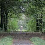 GPS: 50°51'19.2708" N 2°59'28.6332" E Altitude: 44,9 m -  -  -   -  -   -  -