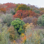 GPS: 50°46'36.5448" N 2°49'21.5472" E Altitude: 84,2 m -  -  -   -  -   -  -