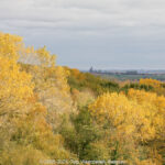 GPS: 50°46'28.2108" N 2°48'46.818" E Altitude: 73,7 m -  -  -   -  -   -  -